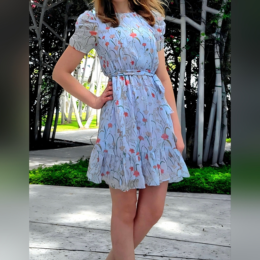 Banana Republic Light Blue Floral Dress Size 4